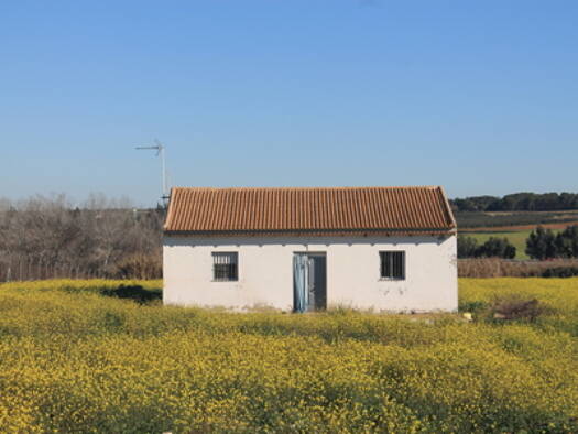 Reiterhof zum Kauf provisionsfrei 105.000 € 120 m² 10.000 m² Grundstück Bonares 21820