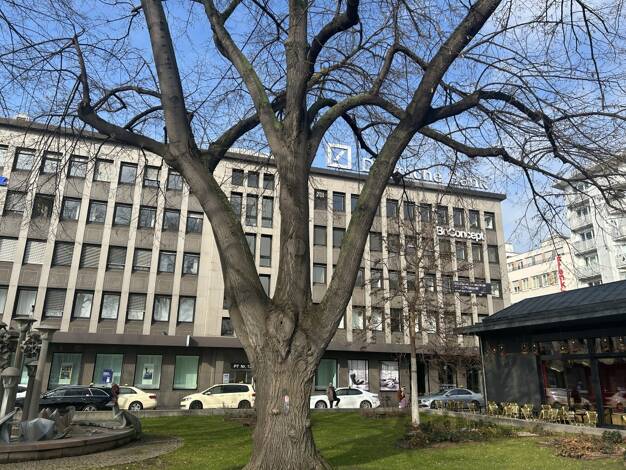 Büro-/Praxisfläche zur Miete 616 m² Bürofläche teilbar ab 616 m² Östliche Unterstadt (P - U) Mannheim 68161