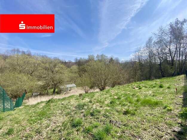 Grundstück zum Kauf 29.000 € 1.007 m² Grundstück frei ab sofort Wutha-Farnroda Wutha-Farnroda 99848