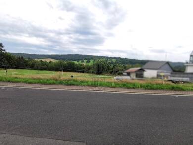 Grundstück zum Kauf 65.000 € 3.390 m² Grundstück Hönebach Wildeck / Hönebach 36208