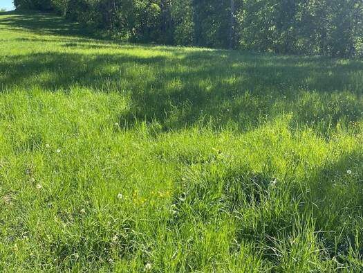 Land-/Forstwirtschaft zum Kauf 25.000 € 17.834 m² Grundstück Buchenau Amt Creuzburg 99831