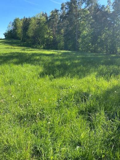Land-/Forstwirtschaft zum Kauf 25.000 € 17.834 m² Grundstück Buchenau Amt Creuzburg 99831