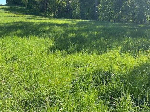 Land-/Forstwirtschaft zum Kauf 25.000 € 17.834 m² Grundstück Creuzburg 99831