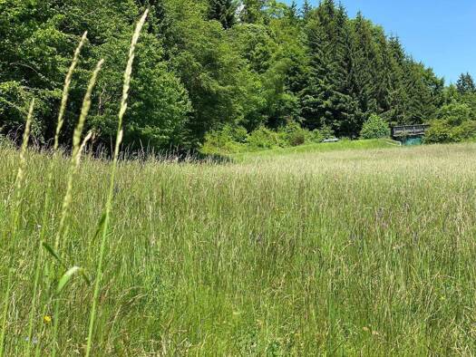 Grundstück zum Kauf 332.728 € 1.672 m² Grundstück frei ab sofort Pörtschach am Wörther See 9210