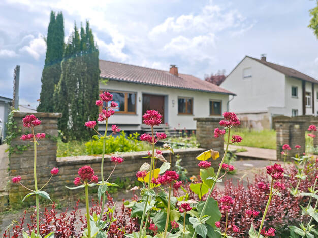 Einfamilienhaus zum Kauf 549.000 € 5 Zimmer 91,5 m² 973 m² Grundstück Mainzer Straße 17 Gensingen 55457