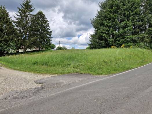 Grundstück zum Kauf 63.910 € 1.162 m² Grundstück Niederprüm Prüm - Weinsfeld 54595