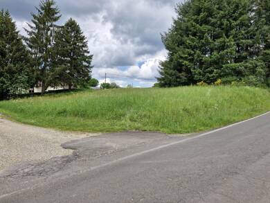 Grundstück zum Kauf 63.910 € 1.162 m² Grundstück Niederprüm Prüm - Weinsfeld 54595
