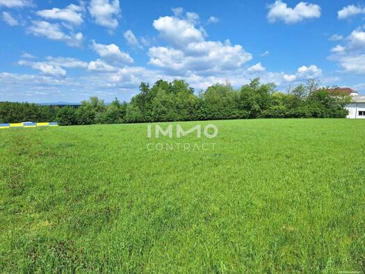 Halle/Industriefläche zum Kauf 61,58 € Zeillern 3311