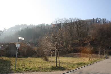 Grundstück zum Kauf 270.020 € 587 m² Grundstück Hausen im Wiesental 79688