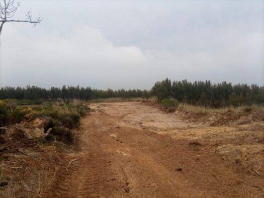 Grundstück zum Kauf 37.500 € 2.700 m² Grundstück Santo Onofre e Serra do Bouro