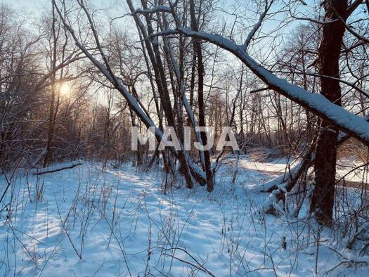 Grundstück zum Kauf 36.000 € 36.000 m² Grundstück Baldone LV-2125