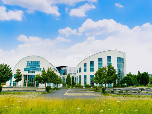 Bürofläche zur Miete 5,50 € 540,3 m² Bürofläche teilbar ab 540,3 m² Hochstedt Erfurt 99098