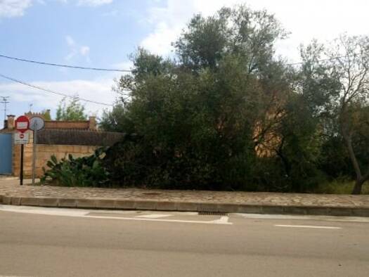 Haus zum Kauf 140.000 € 3 Zimmer 800 m² Grundstück San Lorenzo