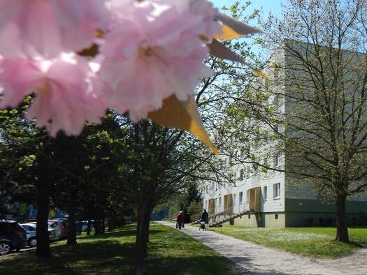 Wohnung zur Miete 540 € 3 Zimmer 60 m² 4. Geschoss Virchowstraße 08 Schkeuditz 04435