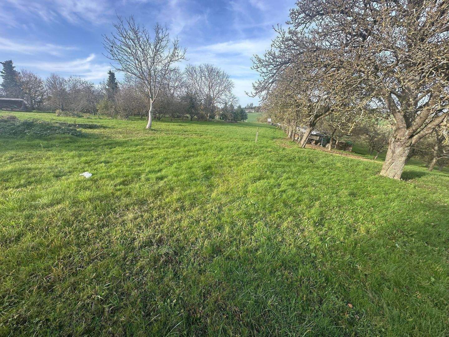 Immobilie in Empfingen - Modernisiertes 3- Fam-Haus im idyllischer Ortsrandlage in Empfingen-Wiesenstetten - Bild 3