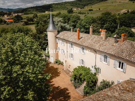Schloss zum Kauf 545.000 € 9 Zimmer 260 m² 3.827 m² Grundstück Ouest Belleville-en-Beaujolais 69220
