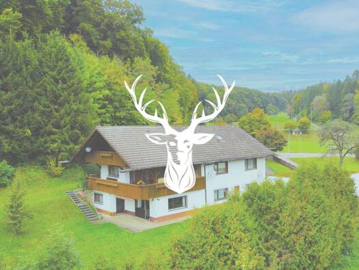 Mehrfamilienhaus zum Kauf 599.000 € 15 Zimmer 370 m² 2.000 m² Grundstück frei ab sofort Dillendorf Bonndorf im Schwarzwald 79848
