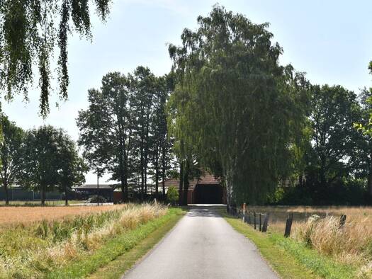 Haus zum Kauf 435.000 € 8 Zimmer 240 m² 10.100 m² Grundstück Ströhen Wagenfeld / Ströhen 49419