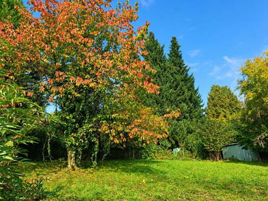 Einfamilienhaus zum Kauf 280.000 € 7 Zimmer 193 m² 987 m² Grundstück Griesbach Bad Griesbach i.Rottal 94086