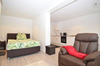Wohnung zur Miete Wohnen auf Zeit 700 € 1 Zimmer 31 m² frei ab 01.07.2025 Weil am Rhein Weil am Rhein 79576