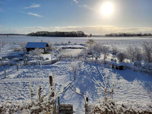Haus zum Kauf 1 Zimmer 270 m² 5.300 m² Grundstück frei ab sofort Brockum 49448