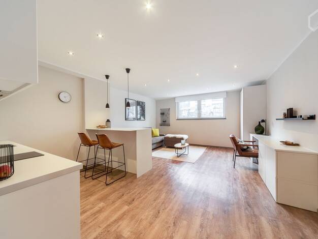 Studio zur Miete Wohnen auf Zeit 1.800 € 1 Zimmer 37 m² frei ab 01.04.2026 Lindenthal Köln 50931