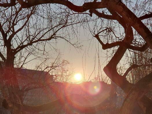 Sonstiges zum Kauf als Kapitalanlage geeignet 800.000 € 5 Zimmer 120 m² Charlottenburg Berlin 10585