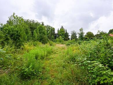 Gewerbegrundstück zum Kauf 425.000 € 7.458 m² Grundstück Garmissen-Garbolzum Schellerten 31174