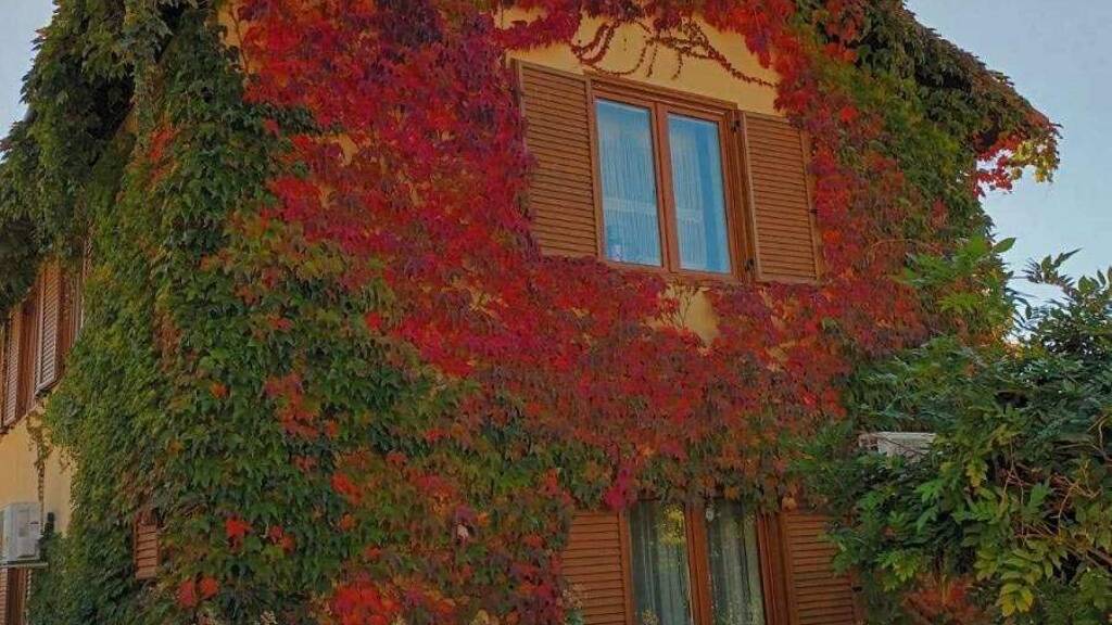 Villa zum Kauf provisionsfrei 405.000 € 5 Zimmer 262 m² 762 m² Grundstück Kosharitsa 8224