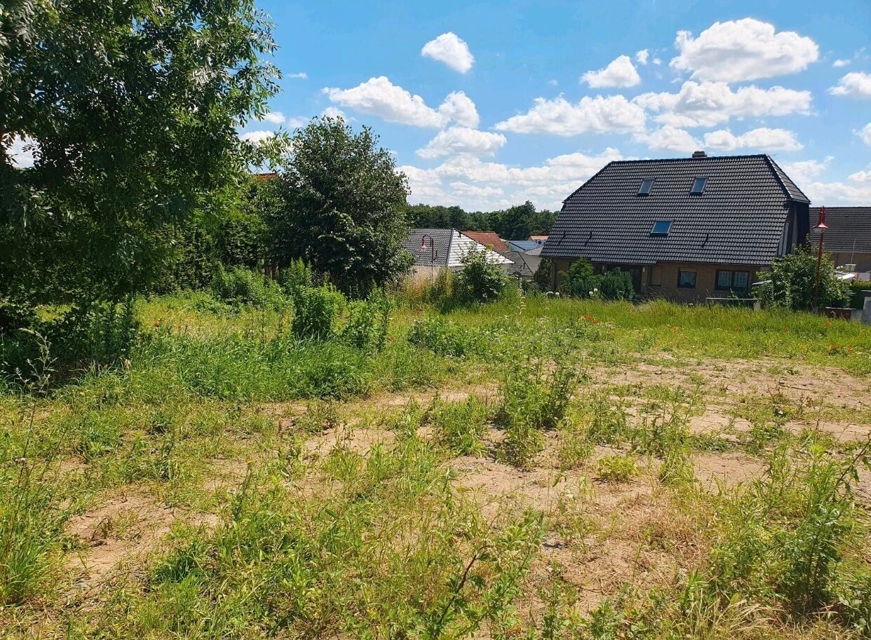 Grundstück zum Kauf 145.000 € 451 m²<br/>Grundstück Güldengossa Großpösna 04463