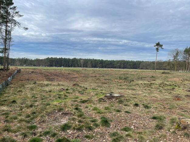 Grundstück zum Kauf provisionsfrei 93.413 € 857 m² Grundstück Sielow Cottbus 03055