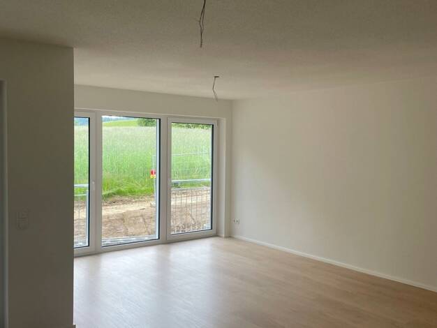 Wohnung zur Miete 925 € 3 Zimmer 85 m² frei ab 01.01.2027 Am Blütenhang Nenzingen Orsingen-Nenzingen 78359
