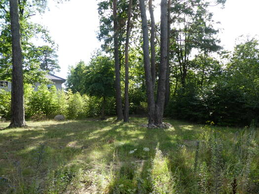 Grundstück zum Kauf 320.000 € 874 m² Grundstück Wandlitz 16348