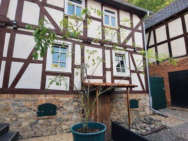 Einfamilienhaus zum Kauf provisionsfrei 215.000 € 8 Zimmer 260 m² 602 m² Grundstück Lohra 35102