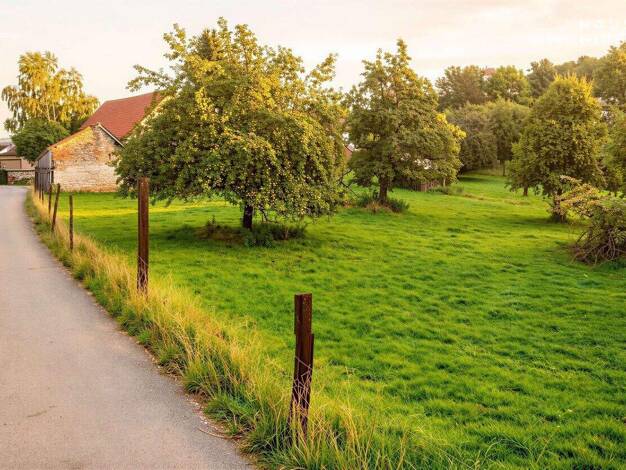 Grundstück zum Kauf 155.000 € 730 m² Grundstück frei ab sofort Oberbalzheim Balzheim 88481