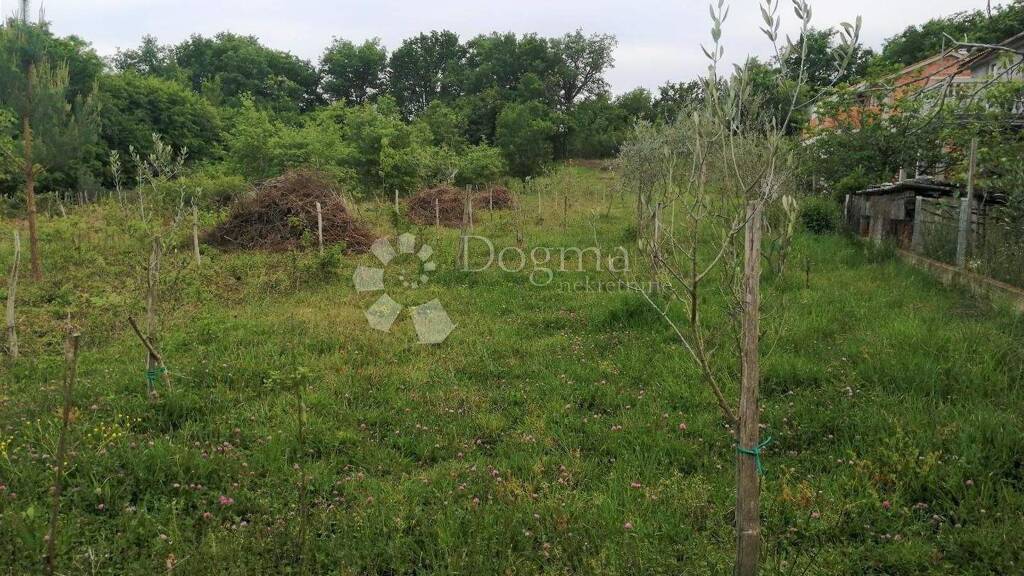 Land-/Forstwirtschaft zum Kauf 238.000 € Dobrinj 51514