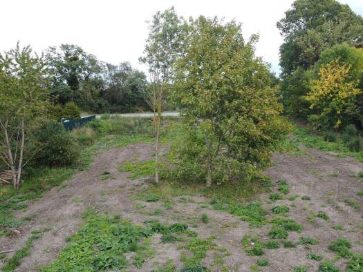 Grundstück zum Kauf 215.000 € 3.022 m² Grundstück Magdeburger Straße 23 Alt Königsborn Königsborn 39175