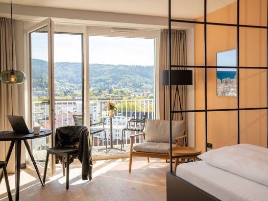 Wohnung zur Miete 2.700 € 1 Zimmer 29 m² Brühl Freiburg im Breisgau