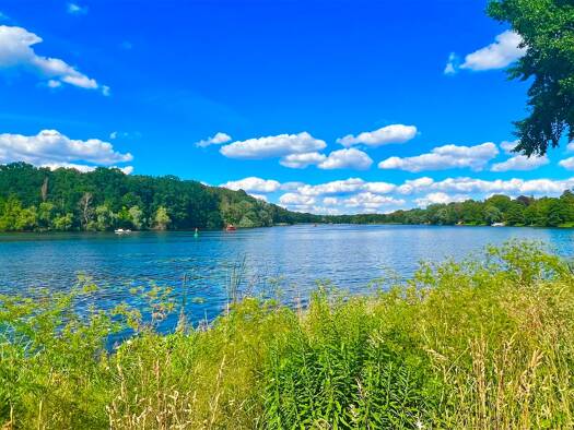 Einfamilienhaus zum Kauf 1.900.000 € 6 Zimmer 270 m² 720 m² Grundstück Berlin 14109