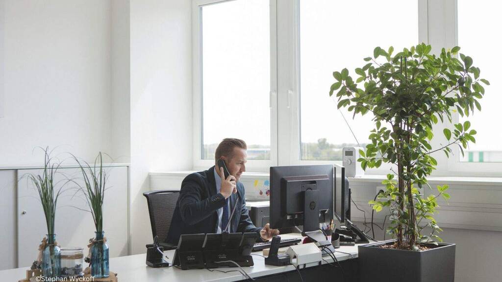 Bürofläche zur Miete 15,40 € 303 m² Bürofläche Wiener Neudorf 2355