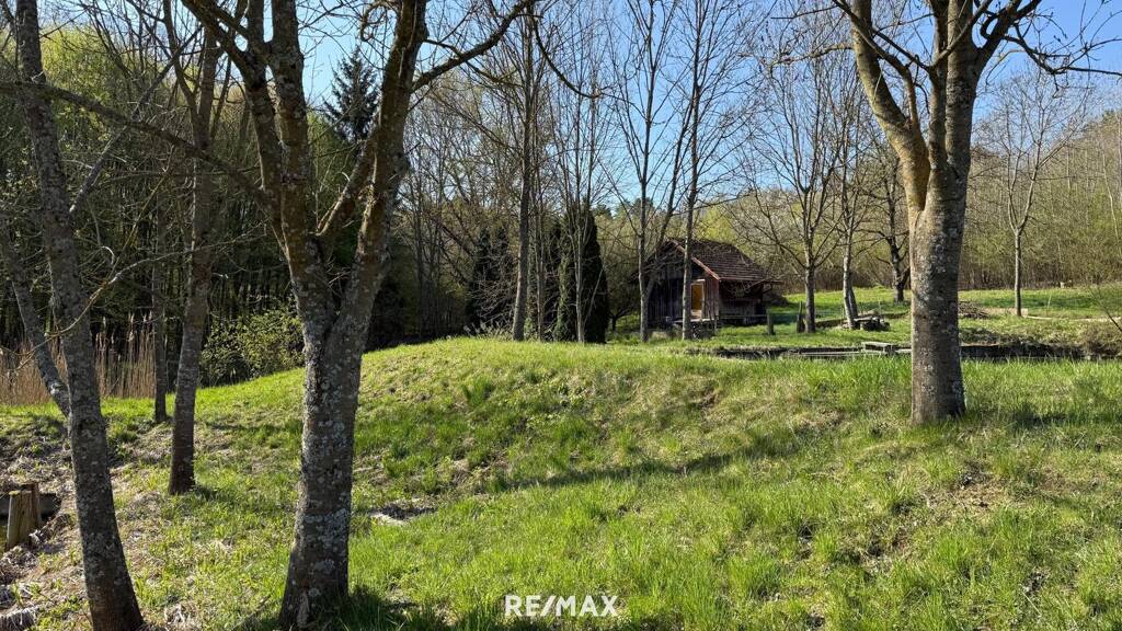 Teich-/Fischwirtschaft zum Kauf 88.000 € 5.838 m² Grundstück Kleinmürbisch Kleinmürbisch 7540