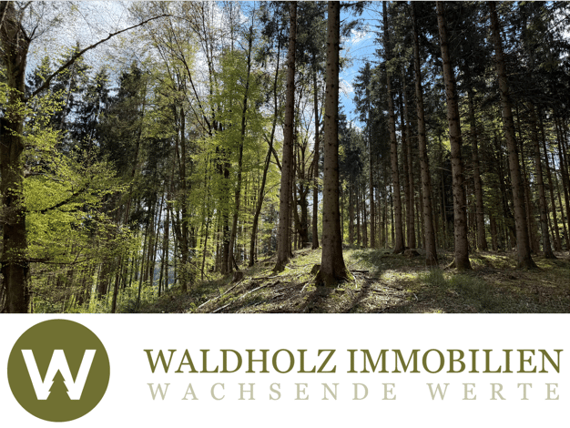 Forstwirtschaft zum Kauf als Kapitalanlage geeignet 255.000 € 36.759 m² Grundstück Ebersberg Ebersberg 85560