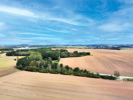 Grundstück zum Kauf 1.000 € 3.136 m² Grundstück Ronneburg Ronneburg 07580