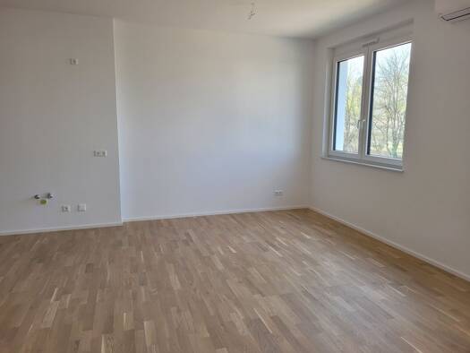 Wohnung zur Miete 1.450 € 4 Zimmer 119 m² Geschoss 1/3 frei ab 01.01.2026 Achern 77855