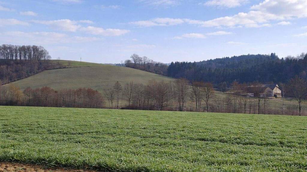 Land-/Forstwirtschaft zum Kauf 123.461 m² Grundstück St. Agatha 4084
