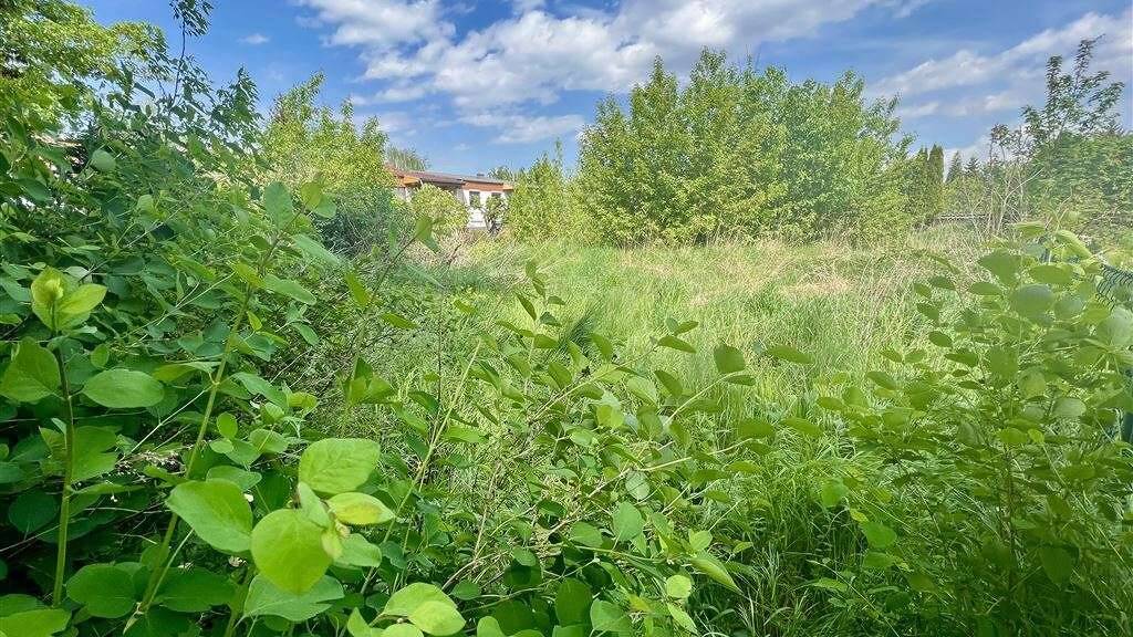 Grundstück zum Kauf 79.999 € 932 m² Grundstück Wischer 39596