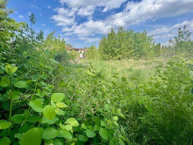 Grundstück zum Kauf 79.999 € 932 m² Grundstück Wischer Wischer 39596
