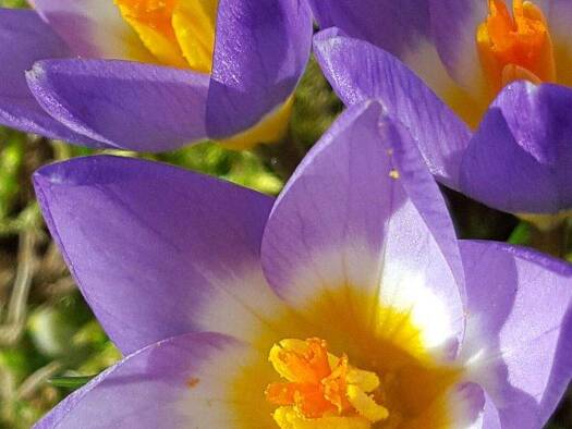 Haus zum Kauf 890.000 € 8 Zimmer 170 m² 793 m² Grundstück Rudow Berlin 12357