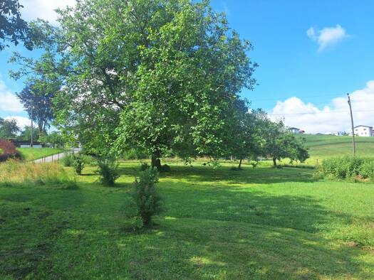 Grundstück zum Kauf 530.000 € 3.700 m² Grundstück Raab 4760