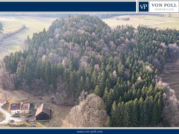 Land-/Forstwirtschaft zum Kauf 248.000 € 49.642 m² Grundstück Untergrafenried Waldmünchen 93449